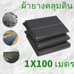 ผ้าคลุมดิน พลาสติกคลุมดิน พลาสติกคลุมวัชพืช พราสติกคลุมดิน ผ้าคลุมวัชพืช คลุมวัชพืช น้ำซึมผ่านได้ 5 เมตร 10 เมตร