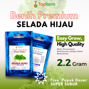 Benih Topfarm / Benih Seladah Keriting / Benih Selada Bokor / Benih Selada Hijau / Benih Selada Terbaik / Benih Selada Paling Bagus / Benih Selada Air / Benih Selada Hidroponik