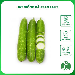 Hạt giống Bầu Sao lai F1 siêu quả - Gói 10 hạt - Trồng quanh năm