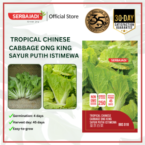 Serbajadi Vegetable Seed Selected Tropical Chinese Cabbage Ong King | Leafy Vegetable | Biji Benih Sayur Putih Istimewa | 大白菜种子 | 1g