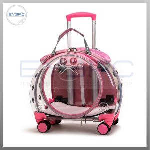 Transparent with Wheels Cat Backpack Carrier