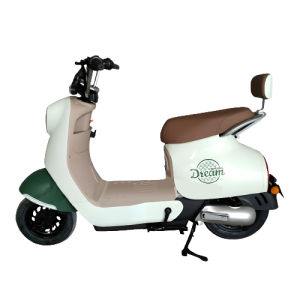 Sepeda Listrik Saige Lova