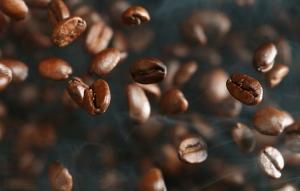 Freshly Roasted Coffee 100%Arabica Blends Medium to Dark Roasted Coffee Beans House Blends Forza 250g Whole Beans