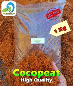 (1KILO) SCREENED & STERELIZED COCOPEAT (PREMIUM QUALITY) FOR HYDROPONICS/PLANTING/ PET BEDDINGS