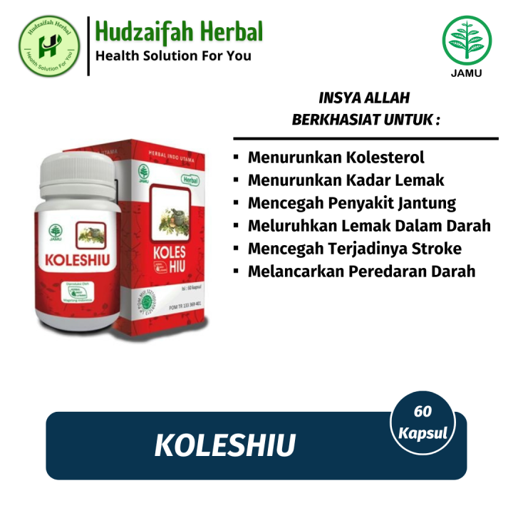 Obat Kolesterol Paling Ampuh . Obat Stroke Paling Ampuh .peluruh Lemak ...