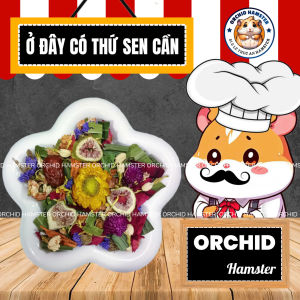 Salad Nhiệt Đới Giải Nhiệt Giúp Giảm Stress Hamster/Thỏ/Bọ/Sóc/Nhím
