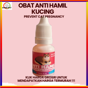 OBAT ANTI HAMIL KUCING MENCEGAH KEHAMILAN PADA KUCING ANDA AMPUH DAN EFEKTIF