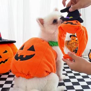 Halloween and Christmas costume for dogs funny cat and dog two-leggedclothing and accessories for Teddy dogs