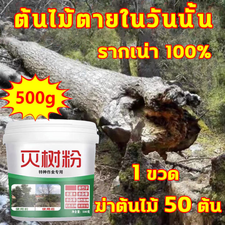 ยาฆ่าตอต้นไม้ 500ml ผลยาวนาน 10 ปี