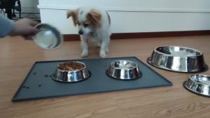 PETWELL Durable Stainless Steel Pet Bowl with Non-Slip Base 18cm-30cm Food & Water Bowl