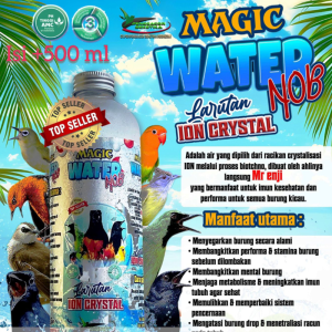 Magic Water NOB 500ml Larutan Ion Kristal Minuman Burung Kicau Cairan Penggacor Seketika