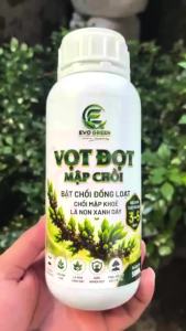 Phân Bón Lá Vọt Đọt Mập Chồi EVO GREEN - Kích Chồi Đồng Loạt Mập Đọt Xanh Lá Non Sau 3-5 Ngày 500ml