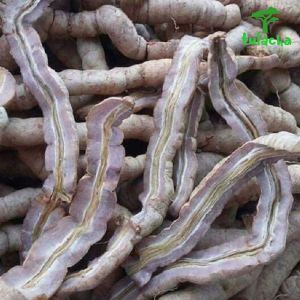 (Túi 1KG) Ba kích tím tươi củ ba kích ngâm rượu ba kích rừng thượng hạng vùng núi cao Tây Bắc.