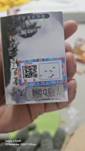Lingzhi adult capsule pampataba l pampalusog