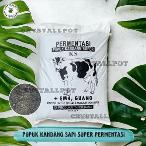 MEDIA TANAM PUPUK KANDANG SAPI EM4 GUANO KS KECIL ORGANIK KEMASAN PABRIK