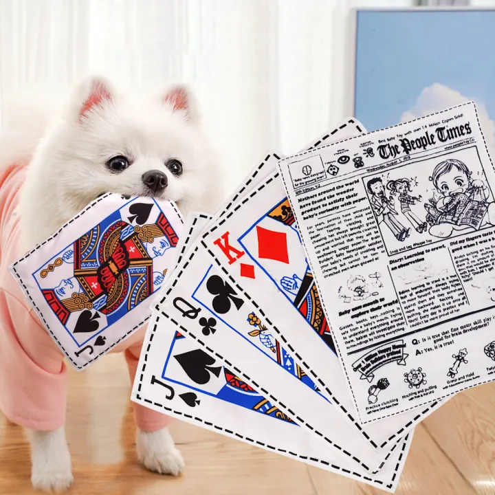 Card-Shaped Crinkle Toy