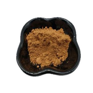 Corydalis Extract water-soluble food grade plant extract powder special price for bulk orders ready stock free shipping