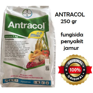 Antracol 70 WP + zinc 250 gr Fungisida Tanaman
