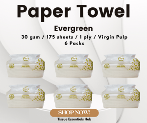 Evergreen Interfolded Paper Towel Virgin Pulp 30 GSM 175 Sheets (Packed by 6)