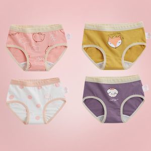 Sét 4 quần lót bé gái combo 4 quần chip cho bé gái 5 14 tuổi size đại đồ lót trẻ em từ  8-48kg