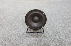 Loa Trung Trợ Lời Nghe Nhạc Karaoke Pioneer Mid 10 P8810
