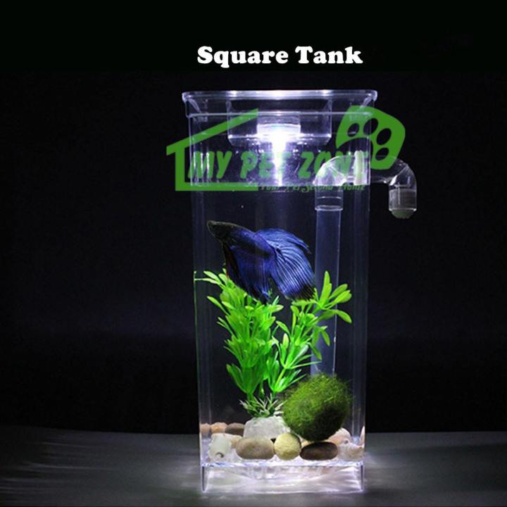 Fun betta outlet fish tanks