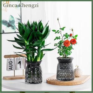Ginca กระถางต้นไม้พลาสติกใสรดน้ำด้วยตัวเองขนาดเล็กสำหรับตกแต่งบ้าน