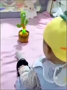 กระบองเพชรเต้นได้ มีเพลง cactus can dance ตุ๊กตาอัดเสียง