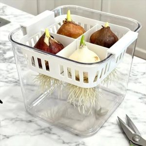DODODAN Clear Hydroponics Nursery Pots 4 Grids Planter Containers Tulip Bulb Planter Garden Supplies Self Watering Planting Basket Home Decoration