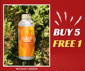 GAIA Organic Plant Fertiliser | Boosts Growth Prevents Disease and Reduces Pests | Eco-Friendly and Sustainable