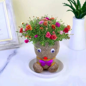 Grass Head mini plant potted plant garden diy potted doll