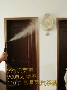 High Pressure Steam Cleaner High Temperature Cleaning Machine Mttress Steam Cleaner Portable Hand-Held Kitchen Fume Removal Cleaning Machine Promotion