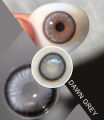 [COD] MYSTICEYES SOFTLENS DAWN GRAY NORMAL S/D MINUS -6.00 14.5 MM. 