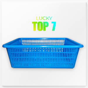 Orocan High Quality Plastic Utility Tray/Documents & Files Holder/Heavy Duty Mesh Colander/Large Organizer/Multi Uses Rectangular Plastic Tray Bin Organizer/Large Fruit Tray Storage Basket/Crates/Multi-Purpose Plastic Tray/ Household Lightweight Tools