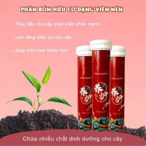 PHÂN BÓN HỮU CƠ DẠNG VIÊN NÉN | COMBO 2 HỘP - CHO CÂY CẢNH HOA KIỂNG BONSAI CÂY ĐỂ BÀN CÂY PHONG THỦY