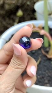 Batu Natural Blue Sapphire - Blue Safir Cutting Bulat Polos