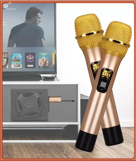 (COD) Professional Wireless microphone dual handheld Professional For ...