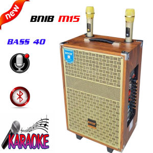 free shipLOA KÉO CAO CẤP BNIB M15 BASS 40 ÂM THANH VANG CHẮC SỐNG ĐỘNG KÈM 2 MÍC VÀNG UHF TUYỆT ĐẸP BẮT XA NHẬY