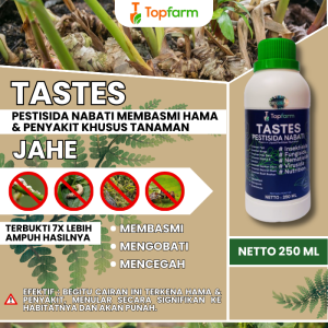 Obat Semprot Tanaman Jahe / Obat Jamur Pada Tanaman Jahe / Obat Semprot Daun Jahe / Obat Jahe Kuning / Obat Penyubur Tanaman Jahe / Obat Busuk Rimpang Jahe