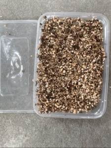 精品鳄龟蛋可孵化原种纯佛正宗佛鳄龟蛋体验孵化的乐趣乌龟蛋体验孵化