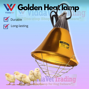 Viddavet Heating lamp with Switch and control for light/Hood and wiring lamp holder for bulb maximum of 250w  brooding lamp for piglets brooding lamp for chicken brooding pen for chicks heating lamp for incubator heating lamp heating lamp food warmer
