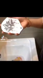 Seri HB 732 Tato Temporer Tattoo Temporary Tahan Lama 2-7 Hari Anti Air - Tatto Tubuh Kering Motif Bunga Mawar Merah Darah Anti Air Tahan lama