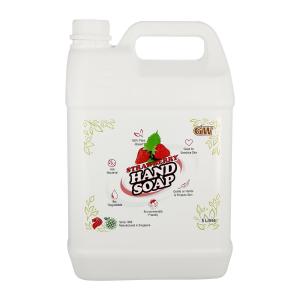 GW Anti-bacterial Strawberry Hand Soap