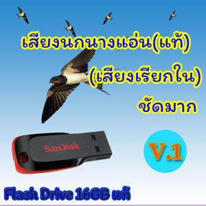 เสียงเรียกนกนางแอ่น V.1 16GB แท้ - เสียงดีมากชัดล้าน% สำหรับบ้าน แท้