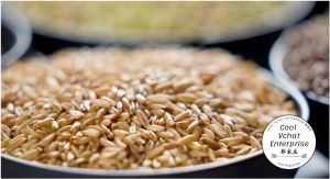 Instant Multigrain Powder (18 Types) 500g No Added Sugar 18 种谷杂粮营养粉无糖无奶 18谷粮 500克 冲泡饮品  素 Vegetarian Halal Multi Grains Powder