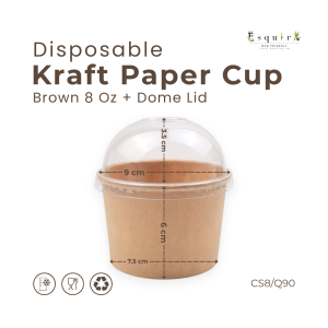 Kraft Paper Cup / Ice Cream Cup + Dome Plastic Lid / Kraft Lid / 10 pcs