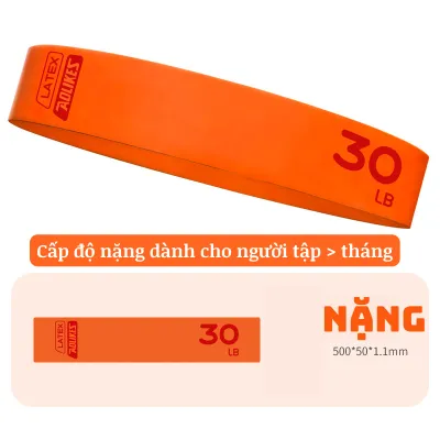 Dây Kháng Lực Miniband Aoikes 3619 Version 2023 Cao Cấp Hỗ Trợ Tập Gym Độ Mông Đùi Chất Liệu Cao Su - AL3619