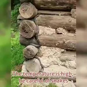 No snakes for 10 years Snake Repellent Long-Acting Snake Repellent Pills 400g  Belerang halau ular Penghalau ular Suitable for farm/outdoor/indoor/office 2025 New Upgrade 驱蛇丸。。。