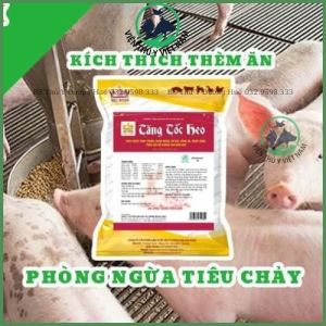 Tăng Tốc Heo Hàng Chuẩn Công Ty Tăng Trọng Nhanh Rút Ngắn Thời Gian Chăn Nuôi Tiết Kiệm Chi Phí BIGBOSS VIỆN THÚ Y