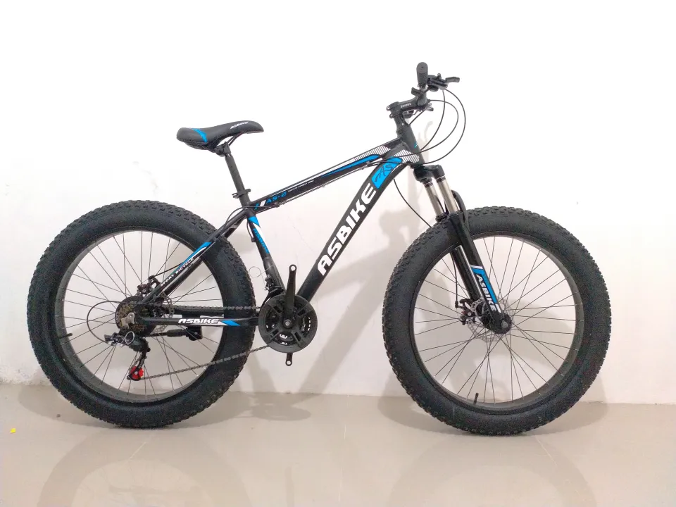 Asbike fat hot sale bike price